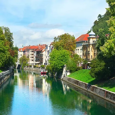 Apartament Optim